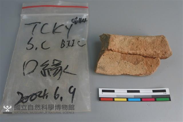 陶片藏品圖，第4張