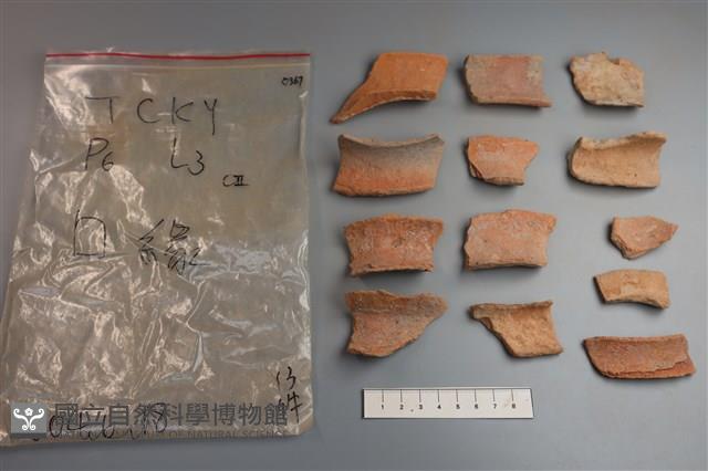 陶片藏品圖，第3張