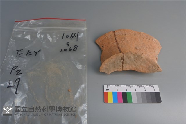 陶片藏品圖，第3張