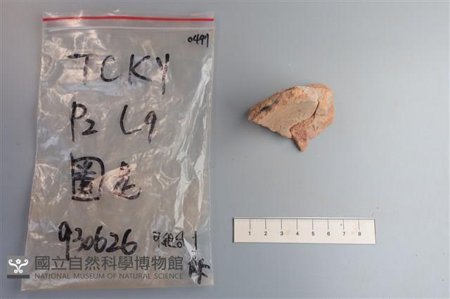 陶片藏品圖，第3張
