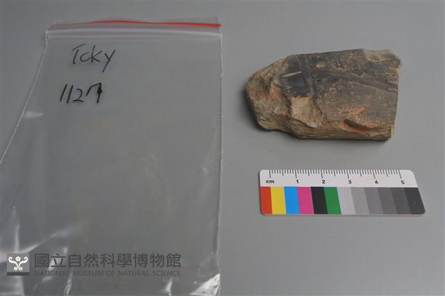 陶片藏品圖，第3張