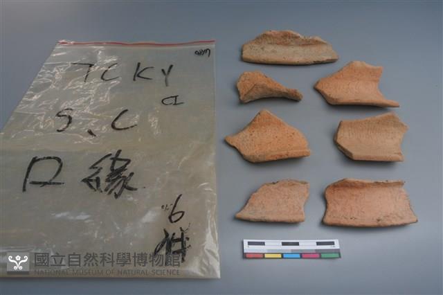 陶片藏品圖，第3張