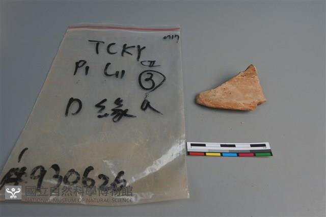 陶片藏品圖，第3張