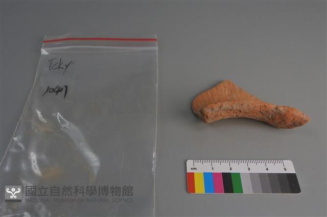 陶片藏品圖，第3張