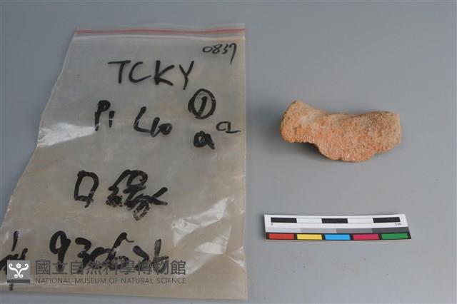 陶片藏品圖，第3張