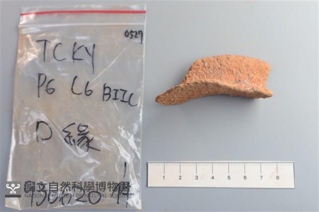 陶片藏品圖，第3張