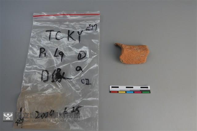 陶片藏品圖，第3張