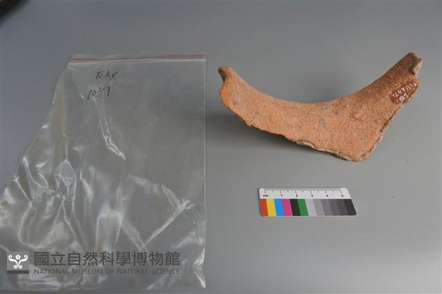 陶片藏品圖，第3張