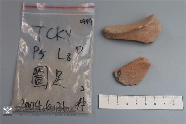 陶片藏品圖，第3張