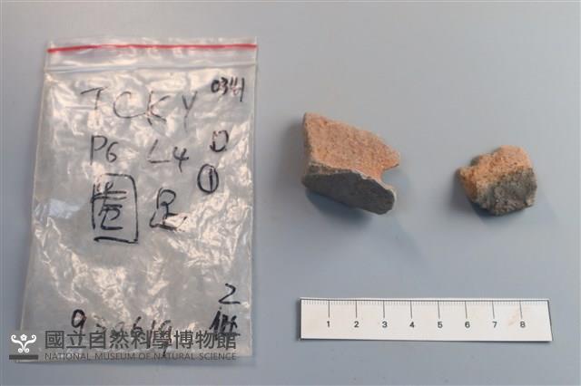 陶片藏品圖，第3張