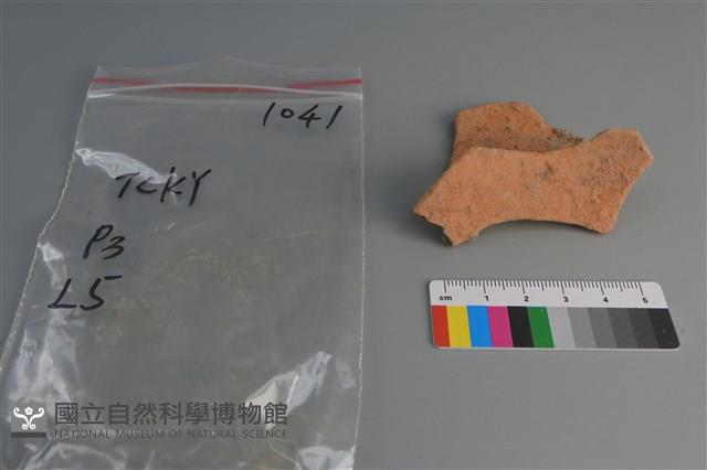 陶片藏品圖，第3張