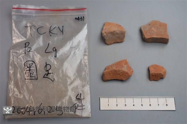 陶片藏品圖，第3張