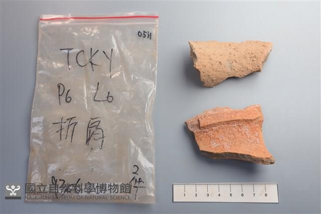 陶片藏品圖，第3張