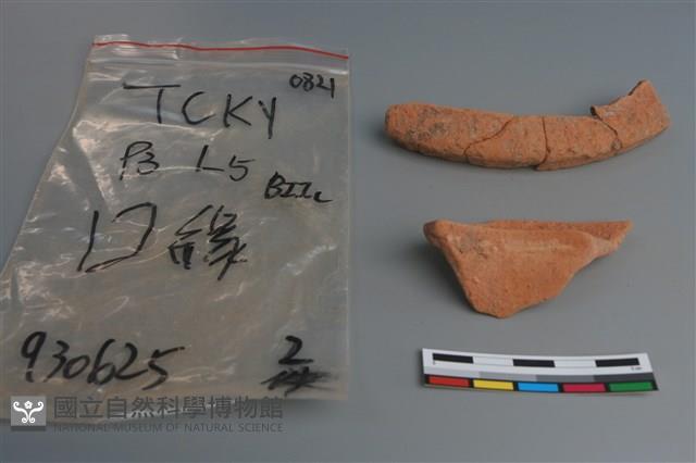 陶片藏品圖，第3張