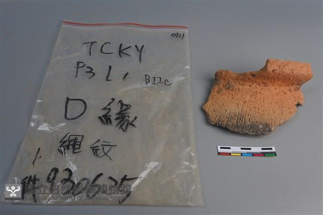 陶片藏品圖，第3張