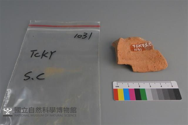 陶片藏品圖，第3張