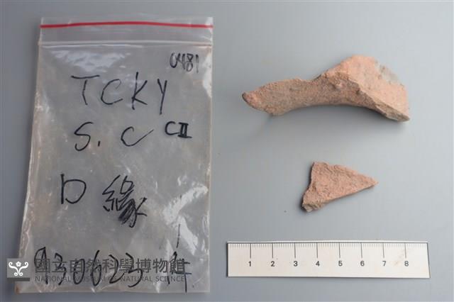 陶片藏品圖，第3張
