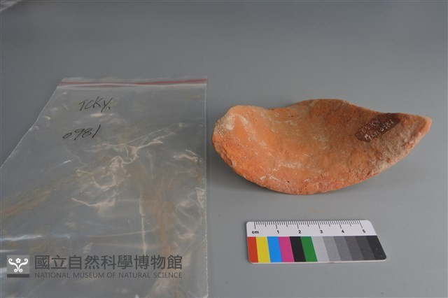 陶片藏品圖，第3張