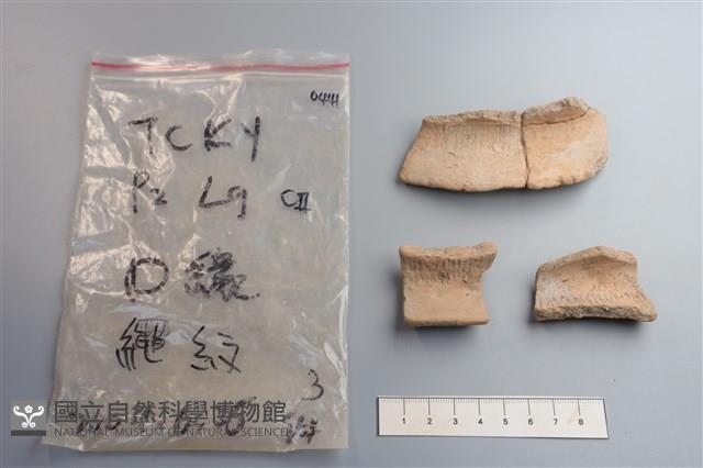 陶片藏品圖，第3張