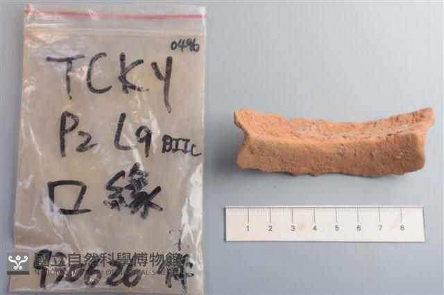 陶片藏品圖，第3張