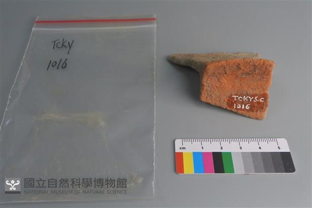 陶片藏品圖，第3張