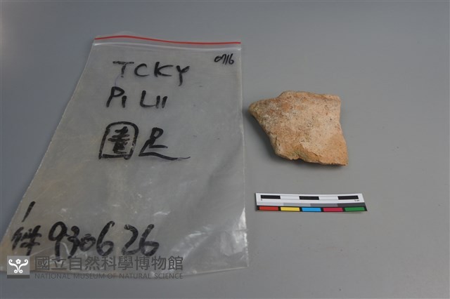 陶片藏品圖，第3張