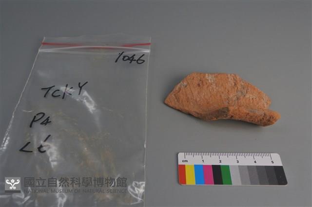 陶片藏品圖，第3張