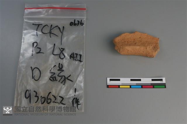 陶片藏品圖，第3張