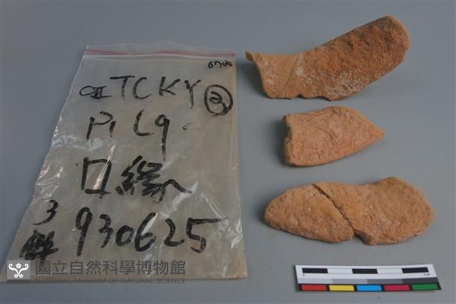 陶片藏品圖，第3張