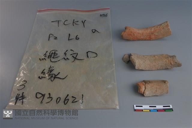 陶片藏品圖，第3張