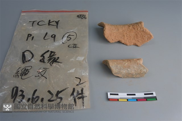 陶片藏品圖，第3張