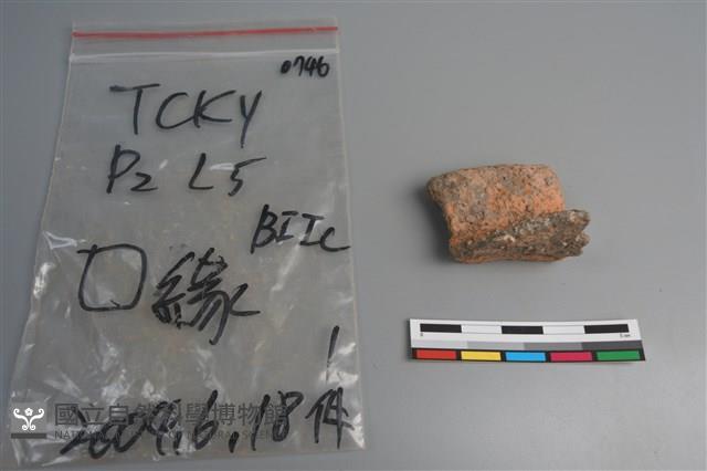 陶片藏品圖，第3張