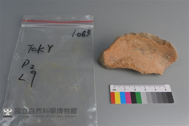 陶片藏品圖，第3張