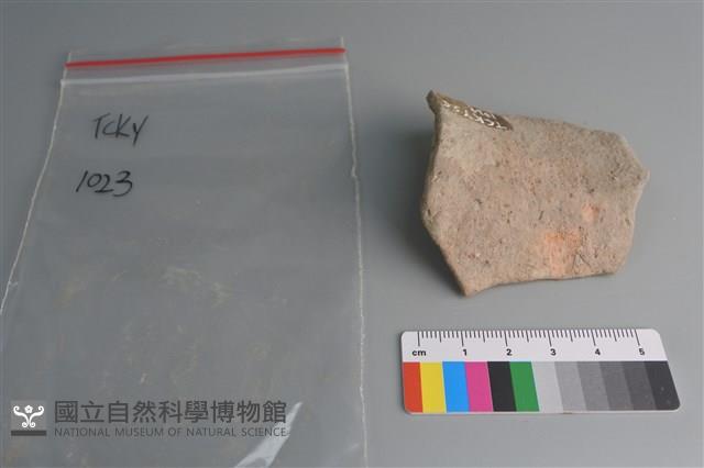 陶片藏品圖，第3張