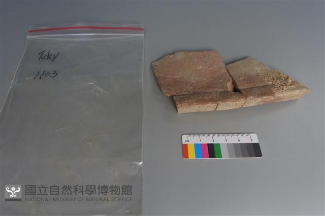 陶片藏品圖，第3張