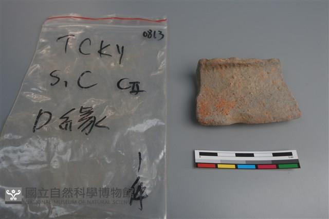 陶片藏品圖，第3張