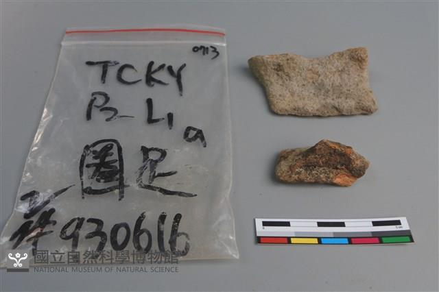 陶片藏品圖，第3張