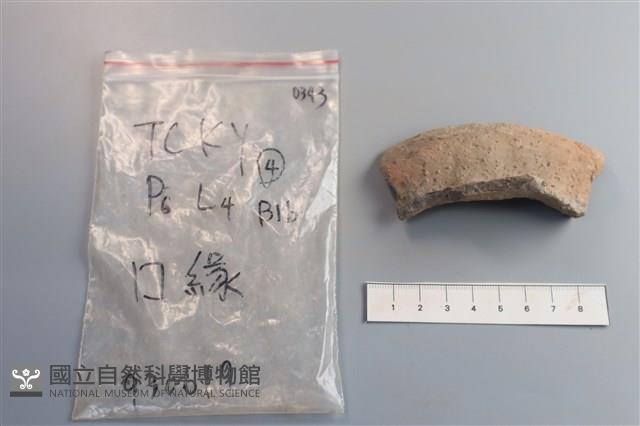 陶片藏品圖，第3張