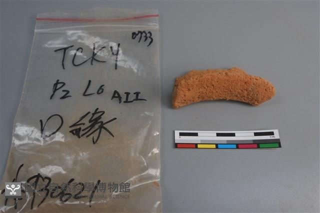 陶片藏品圖，第3張