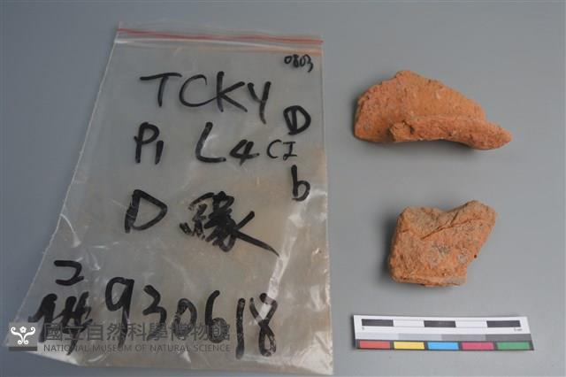 陶片藏品圖，第3張