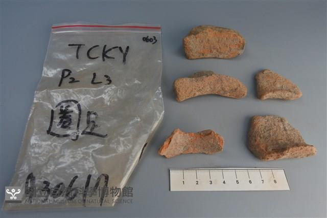 陶片藏品圖，第3張