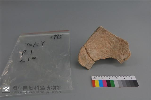 陶片藏品圖，第3張