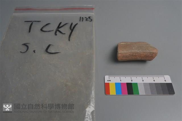 陶片藏品圖，第3張