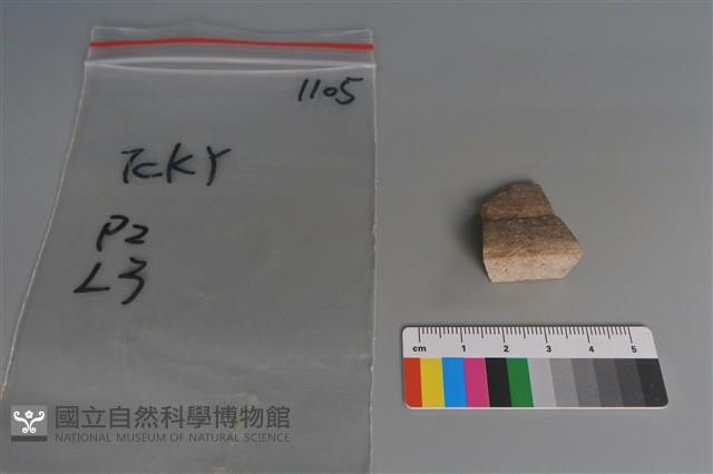 陶片藏品圖，第3張