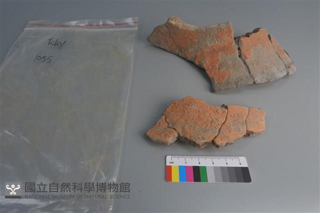 陶片藏品圖，第3張