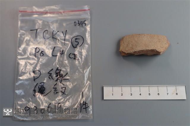 陶片藏品圖，第3張