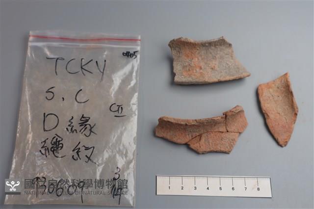 陶片藏品圖，第3張