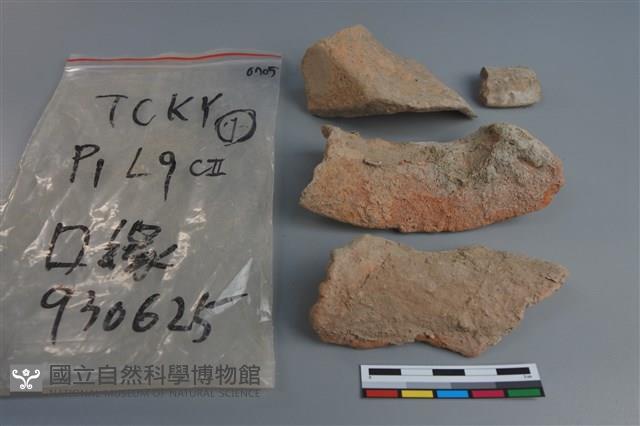 陶片藏品圖，第3張