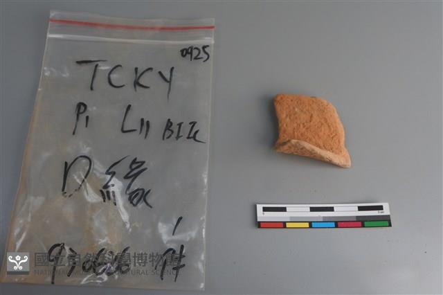 陶片藏品圖，第3張