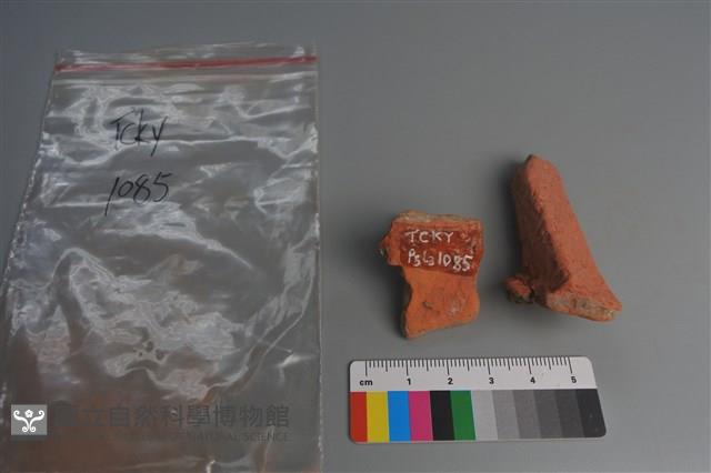 陶片藏品圖，第3張